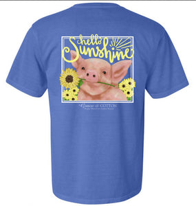 "Hello Sunshine"- Comfort Colors Flo Blue
